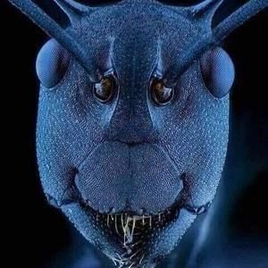 Meet your Posher, Harrison